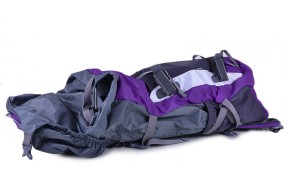 Рюкзак ONEPOLAR 1702 туристический фиолетовый