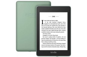 Электронная книга с подсветкой Amazon Kindle Paperwhite 10th Gen. 32GB Sage