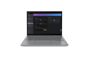 Ноутбук Lenovo ThinkPad T14 Gen 4 (21HD002BUS)