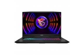 Ноутбук MSI Katana 17 B13VEK (B13VEK-1449XPL)
