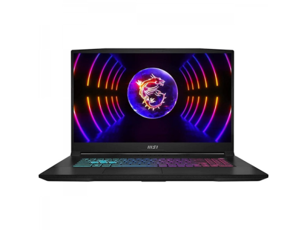 Ноутбук MSI Katana 17 B13VEK (B13VEK-1449XPL)