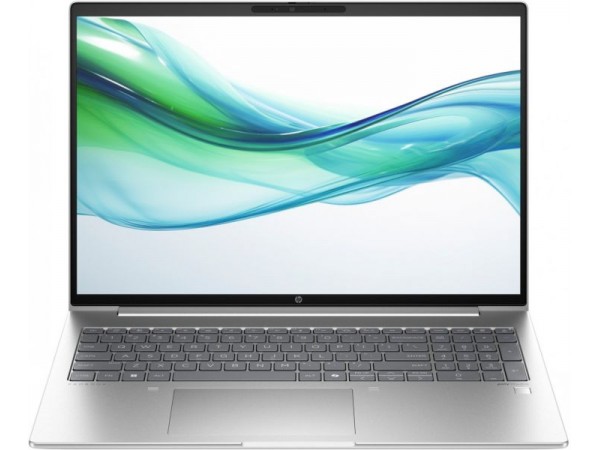 Ноутбук HP ProBook 465 G11 (A1RM6UT)