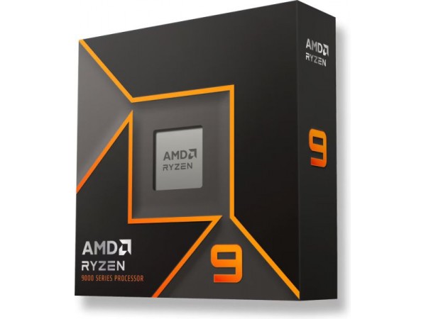 Процесор AMD Ryzen 9 9900X (100-100000662WOF)